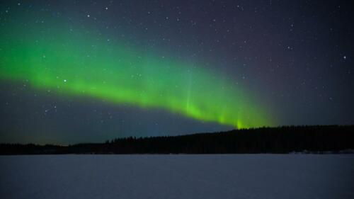 Images from the Sotkamo area, Photo by: Juho Lipponen